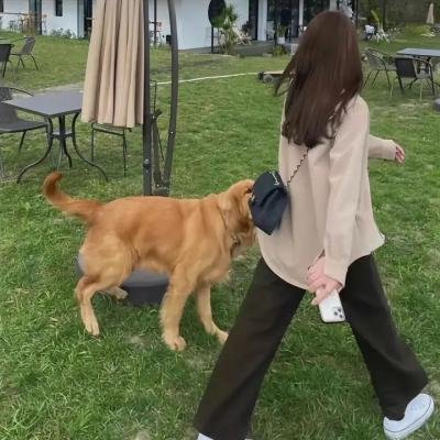 暗房是梦的入口